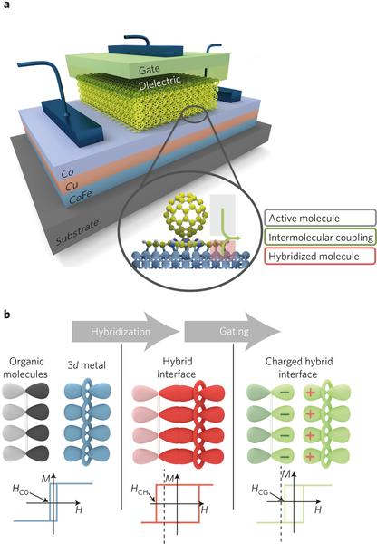 Active molecular spinterface devices. Figure: Mirko Cinchetti, Nature Materials 16, 507-515 (2017) 