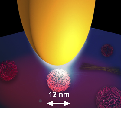 Scattering-type near-field microscope (NeaSpec)