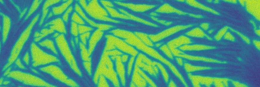 Electron micrograph of plan virus bundles wetted by an ionic liquid