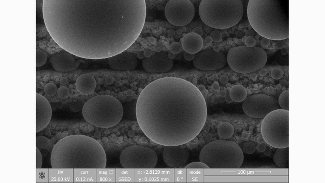 In situ electron microscopy