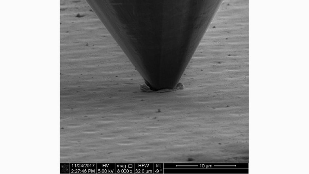 In situ electron microscopy