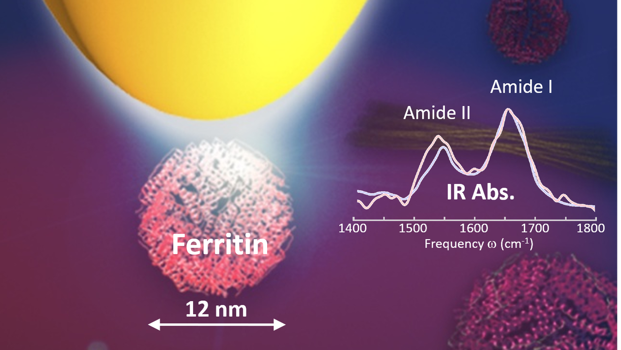Chemical characterization