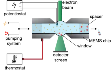 Liquid-Phase Electron Microscopy