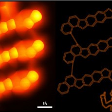 Nano-Ladder made of extended diindeno-naphthalene