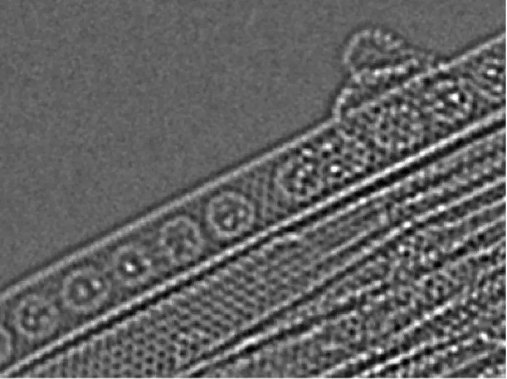 Metalofullerenes inside SWNT