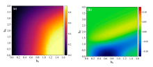 Purely Dynamic Skyrmion Phase discovered