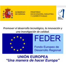 GBIERNO DE ESPAÑA - MINISTERIO ECONOMIA INDUSTRIA Y COMPETITIVIDAD - FEDER