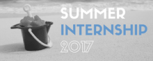 Summer Internship Program: call open until 5 February