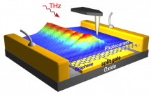 THz plasmons of extremely short wavelength propagate along the graphene sheet of a THz detector, as visualized with photocurrent images obtained by scanning probe microscopy.